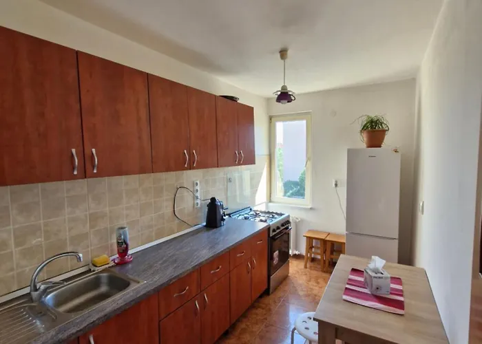 Victoriei 公寓 布拉索夫